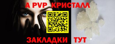 крисы Гагарин