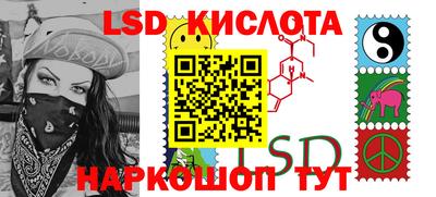крисы Гагарин
