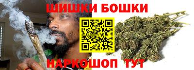 крисы Гагарин