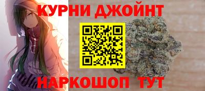 крисы Гагарин